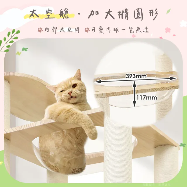 【貓本屋】台灣製 豪華款 橢圓太空艙/加大雙貓屋 加粗白麻柱 實木貓跳台(附劍麻抓板/球)
