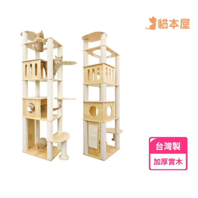 【貓本屋】台灣製 豪華款 橢圓太空艙/加大雙貓屋 加粗白麻柱 實木貓跳台(附劍麻抓板/球)
