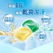 【白帥帥】極淨速酵洗衣球155顆(洗衣膠囊/桶裝/家庭經濟號/高CP/抗菌力99.9)