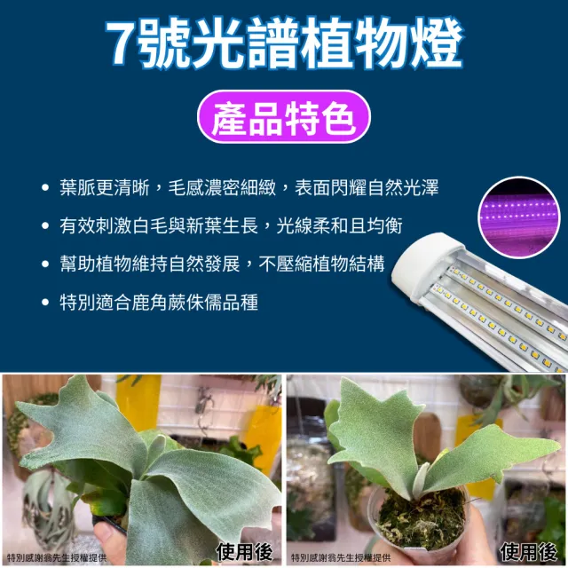 【JIUNPEY 君沛】2呎 25W 7號光譜 植物燈管 防水型雙排燈芯設計(植物生長燈 三防燈 鹿角蕨適用)