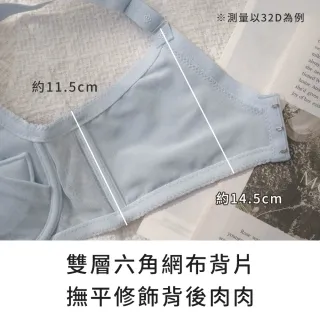 【玉如阿姨】空想織夢者內衣※0733淺藍(B.C.D 罩 渾圓 拉提 托高 集中 台灣製)