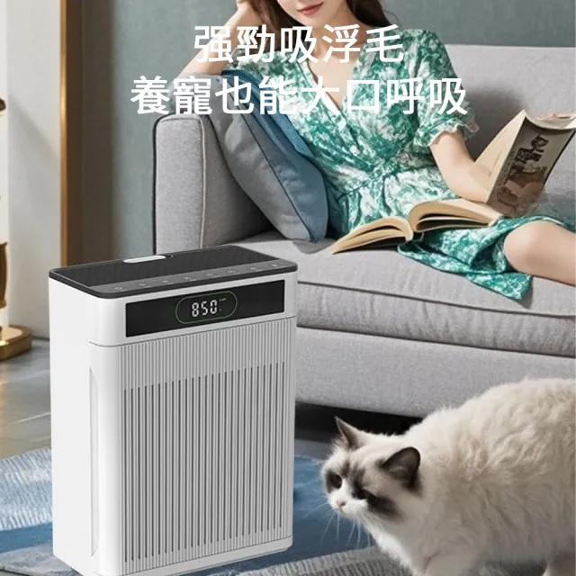 【IPSKY】全自動寵物空氣清淨機-濾網兩套(專用吸浮毛 殺菌除臭 負離子空氣凈化器 寵物清淨機 寵物吸毛機)