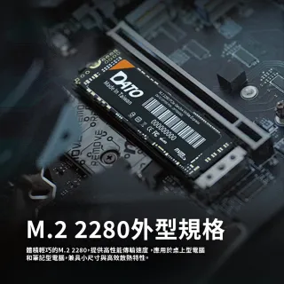 DATO 達多】DP700 1TB M.2 2280 PCIe Gen3x4 SSD 固態硬碟(最高達讀