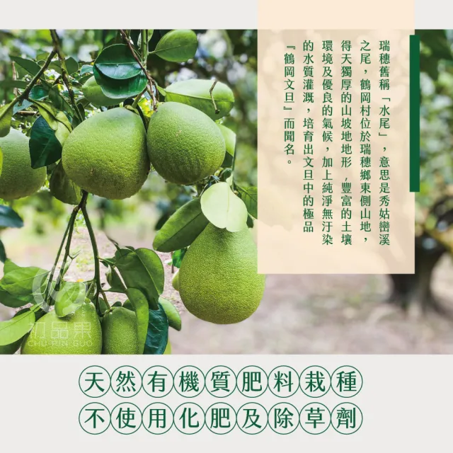 【初品果】花蓮鶴岡海伯40年老欉文旦禮盒10斤7-9顆x2箱(大果_中秋禮盒_企業送禮_好友揪團)