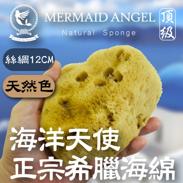 天然海綿