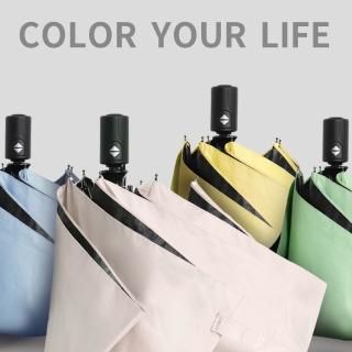 【boy】抗UV三折防曬自動傘 多色(黑膠 自動傘 晴雨傘 防曬 抗UV 防風傘 折疊傘 素色 德國boy)