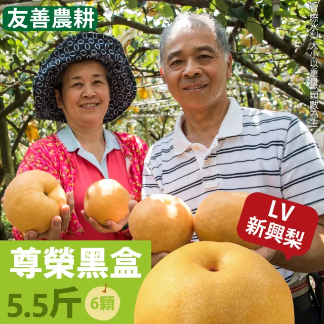 【十翼饌】選果 龍安果園 台中新社特選LV等級新興梨3300gx1盒(550gx6顆入/盒_中秋禮盒_光波水梨_產地直送)