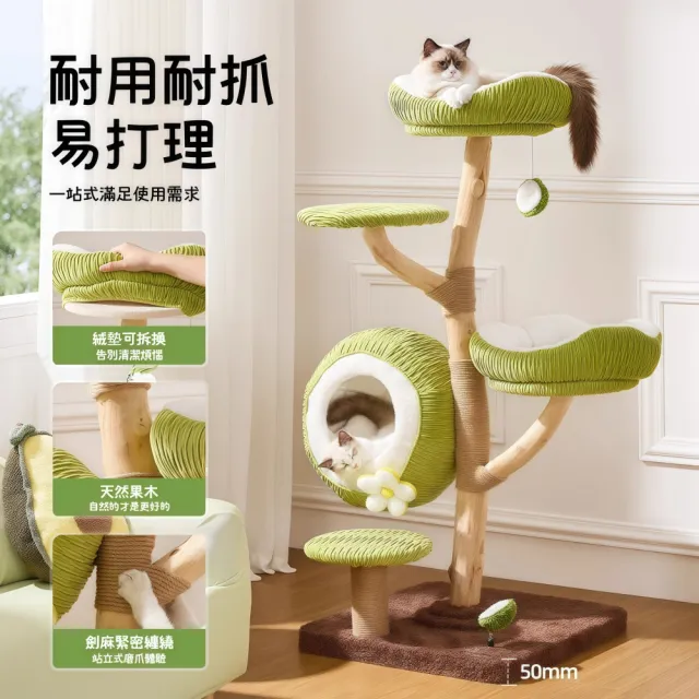 【銘利萊】青椰貓爬架 家用實木貓窩 貓樹一體跳臺 小戶型寵物傢俱(不佔地貓爬架子 絨墊可拆換)