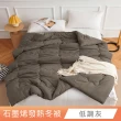 【日禾家居】買一送一 石墨烯保暖水洗被2.5KG 棉被 冬被(雙人180X210cm 多色選)