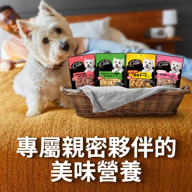 【Cesar 西莎】狗點心 80g/100g*5入(任選 日本進口)