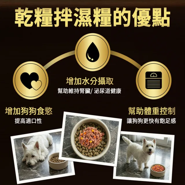 【Cesar 西莎】蒸鮮包 70g*16入 寵物/狗罐頭/狗食/餐包