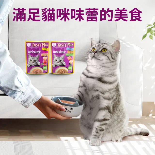 【Whiskas 偉嘉】新客驚喜盒-貓乾糧+貓濕糧