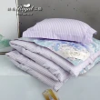 【皇室羽毛工房】日本芬多精羽絨薄被-薰衣草(單人)
