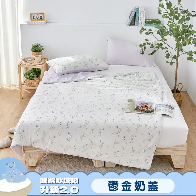 【Great Living 格蕾寢飾】La Belle 眠綿冰升級2.0 玻尿酸抗菌涼感涼被 150x195cm(任選 冰冰被 夏被)