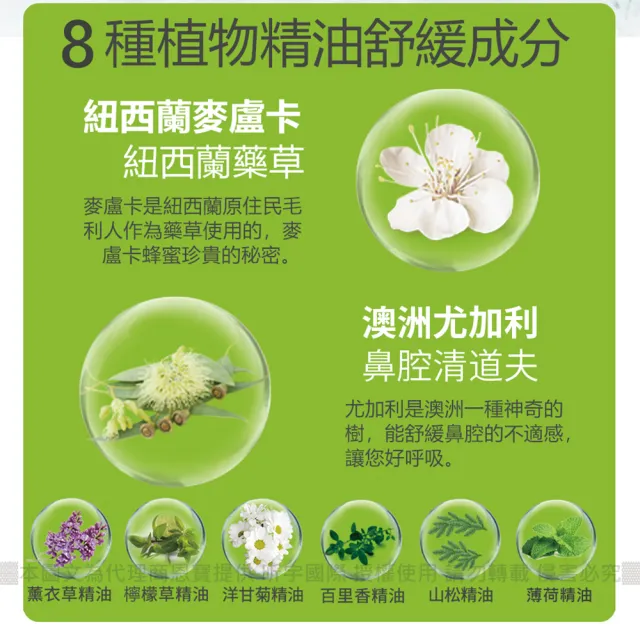 【BEGGI】BGO精油通鼻貼_兒童款 16片(台灣代理公司貨 鼻塞 鼻子過敏 鼻癢 噴嚏 舒眠 居家必備)