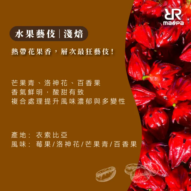 【GCurtain】毛爸咖啡 多款風味 半磅 職人烘焙 精品咖啡豆(多款風味/水果藝妓)