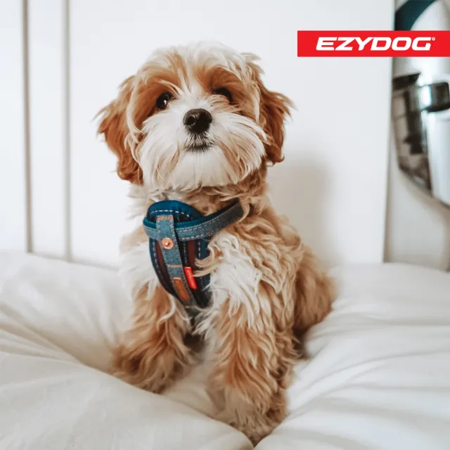 【EZYDOG】狗體工學胸背帶 丹寧 L號(送400元寵物車用束帶 寵物胸背帶 H型胸背帶 寵物用品 牽繩)