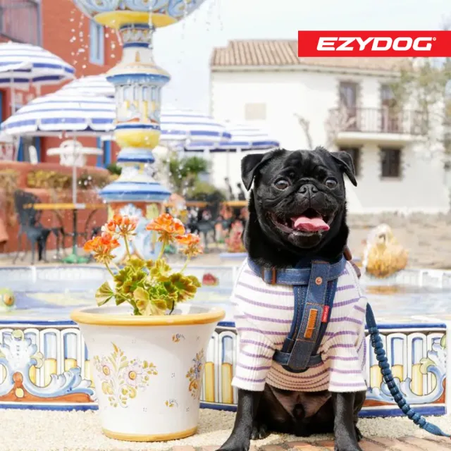 【EZYDOG】狗體工學胸背帶 丹寧 S號(送400元寵物車用束帶 寵物胸背帶 H型胸背帶 寵物用品 牽繩)