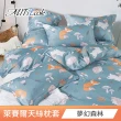 【MIT iLook】台灣製 萊賽爾天柔絲枕套2入(多款可選)