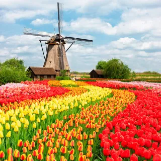 【喜鴻假期】【花季．精選荷比法１０日】鬱金香花園、羊角村遊船、羅浮宮、風車村、時尚百貨購物趣