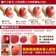 【甜露露】日本青森TOKI土岐水蜜桃蘋果40-46粒頭16-18入x1箱(4kg±10%)企業訂購_中秋禮盒