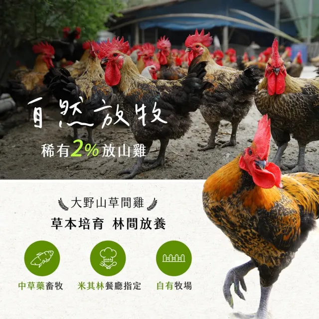 【大野山牧場】山野豚 黑豬義式漢堡排 6入組(共24片/1800g - 高雄在地飼養)