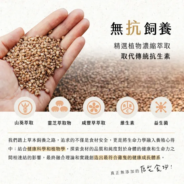 【大野山牧場】山野豚 黑豬義式漢堡排 6入組(共24片/1800g - 高雄在地飼養)