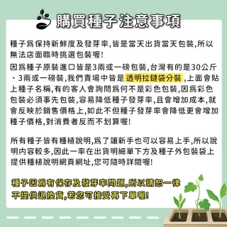 【蔬菜工坊】全年及夏季可栽培花卉種子系列-各包裝數量詳見內文(向日葵 百日草 萬壽菊 雞冠花 大理花)