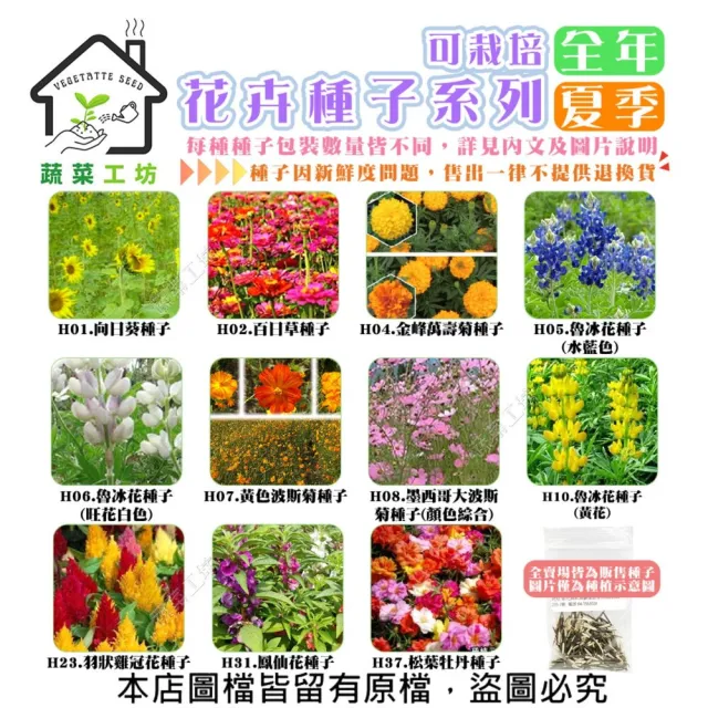 【蔬菜工坊】全年及夏季可栽培花卉種子系列-各包裝數量詳見內文(向日葵 百日草 萬壽菊 雞冠花 大理花)