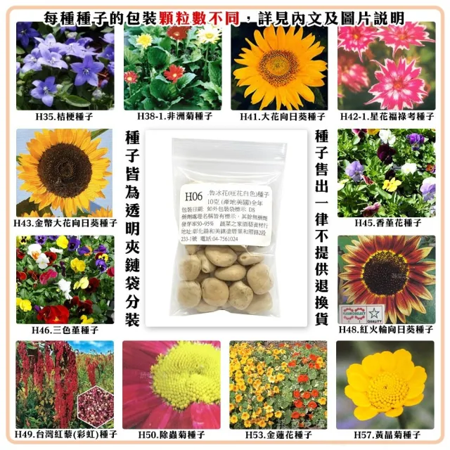 【蔬菜工坊】冬季可栽培花卉種子系列-各包裝數量詳見內文及圖片(魯冰花 波斯菊 蜀葵 金盞花)