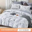 【貝兒居家寢飾生活館】60支100%蘭精萊賽爾天絲兩用被床包4件組(雙人/加大/均一價)