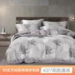 【貝兒居家寢飾生活館】60支100%蘭精萊賽爾天絲兩用被床包4件組(雙人/加大/均一價)