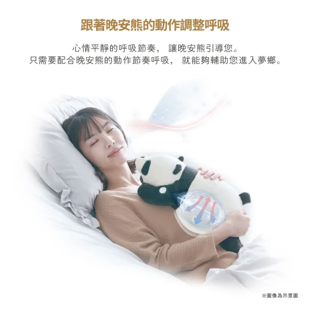【ATEX】官方旗艦館 Lourdes 晚安熊睡眠抱枕-小款AX-BT807(呼吸感/助眠/抱枕/午睡枕)