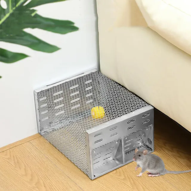 | BALIMAN情報局 【2026】捕鼠器推薦ptt》10款高評價人氣品牌排行榜 | BALIMAN情報局
