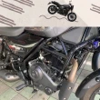 【Harley-Davidson】X440 女生入門車首選2024亮灰(440cc/檔車/機車/普洛吉村重/平輸車)