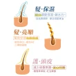 【古寶無患子】4盒入草本護髮染髮霜 4色任選(榛果厚奶/亞麻茶棕/氣質黑茶/栗香摩卡)