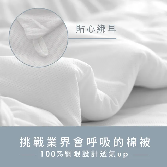 【AnD HOUSE 安庭家居】德國奈米銀離子水洗科技羽絲絨被-加大7x8尺(可水洗/寒流/保暖/被胎/棉被/冬被)