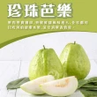 【初品果】產地直送雙色蜜芭樂禮盒5斤x4盒(黃金蜜+紅心芭樂/國民水果/產地直送/禮盒)