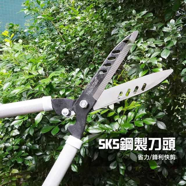 【工具達人】園藝大剪刀 草坪剪 園藝籬笆剪 直刀 社區花草修剪刀 農業園藝用具 園林花剪 大剪刀(190-SK5S)