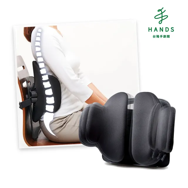 【台隆手創館】COGIT BODY KARTE輕鬆支撐腰靠墊/靠腰墊(CARFITY輕鬆支撐腰靠墊)