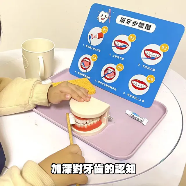 【居然好日子】牙齒模型 有牙縫 牙模教學 幼兒園刷牙練習 口腔模型 潔牙教具 牙模(刷牙教學 牙醫教學道具)