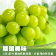 【WANG 蔬果】日本長野/山梨縣溫室麝香葡萄2房禮盒x1盒(350-400g/串 水果禮盒/三節禮盒)