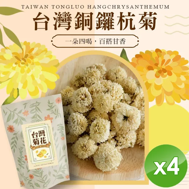 【cammie】台灣銅鑼杭菊x4包(10g/包)