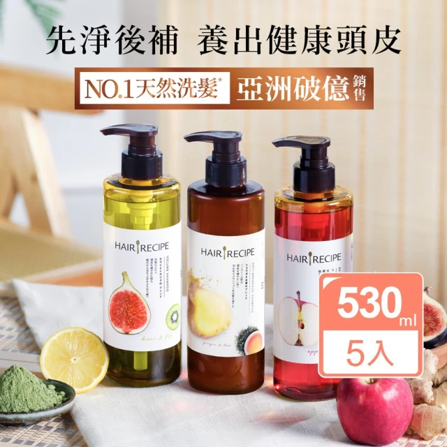 【Hair Recipe】洗髮精/護髮潤髮乳530mlx5 (髮的食譜/髮的料理/生薑清茶新上市)