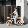 【SLIDER】超電力野餐車經典版 續航100KM 內附540W移動電源(電動輔助自行車 移動電源 閃電標章 540W)