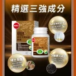 【葡萄王】認證樟芝王菌絲體膠囊x20瓶 共1200粒(陳志強推薦 GABA 芝麻素 幫助入睡 牛樟芝膠囊)