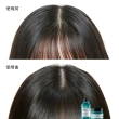 【L’OREAL 巴黎萊雅PRO】絲漾博水楊酸控油洗髮精300ml