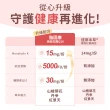 【達摩本草】納豆紅麴脂固康植物膠囊3入60顆/盒(專科醫生推薦、關鍵四效啟動代謝)