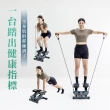 【BLADEZ】ZE7420 步行者登階樓梯機(樓梯機/踏步機)
