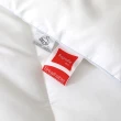 【HongYew 鴻宇】德國科技水洗冬被 可水洗(單人 棉被)